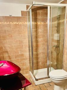 e bagno con doccia, servizi igienici e lavandino. di Casa dell Artista Tameró HolyDay Apartments a Montopoli in Sabina