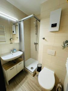 uma casa de banho com um chuveiro, um WC e um lavatório. em FeWo Glockenberg im Ferienpark Altenau em Altenau