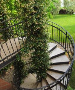 una escalera con una planta creciendo en una valla en Ferienwohnung für 6 Personen ca 100 qm in Puegnago sul Garda, Gardasee Westufer Gardasee, en Castello