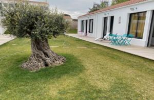 Κήπος έξω από το Studio New-York à Old School à l'ile d'yeu