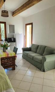 a living room with a green couch and a kitchen at Studio de 26 m2 tout équipé, avec extérieur in Rochegude