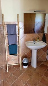 a bathroom with a sink and a toilet and a shelf at Studio de 26 m2 tout équipé, avec extérieur in Rochegude