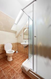 uma casa de banho com um WC e um lavatório em Hotel U Martina em Rožmberk nad Vltavou