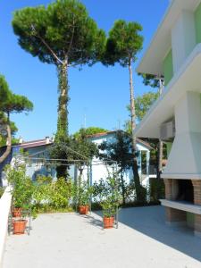 een groep bomen in potten voor een gebouw bij Ferienhaus für 5 Personen ca 60 qm in Rosolina Mare, Adriaküste Italien Venedig und Umgebung in Rosolina