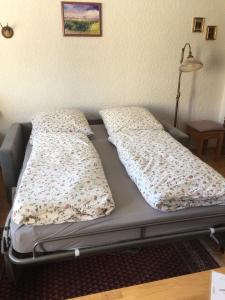 a bed with two pillows on it in a room at Ferienwohnung in Frauenberg mit Garten in Haidmühle