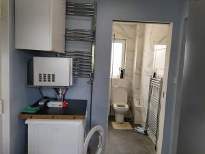 La petite salle de bains est pourvue de toilettes et d'un lavabo. dans l'établissement Studio Flat, à Édimbourg