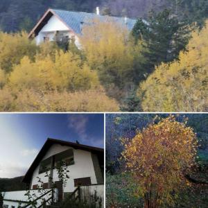 tres fotos diferentes de una casa y un árbol en Ferienwohnung für 4 Personen 1 Kind ca 50 qm in Borzonasca, Ligurien Provinz Genua, en Borzonasca