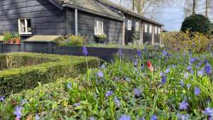 a garden in front of a house with purple flowers at Hoeve bij Vosselen in Asten