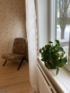 uma planta sentada num parapeito de janela ao lado de uma cadeira em Himmelskällan em Varnhem