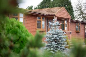 una casa con un árbol de Navidad delante de ella en 3 Bedroom lodge with hot tub en York