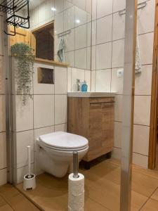 a bathroom with a toilet and a sink at Domki całoroczne - u Ptaka - Miłków in Miłków