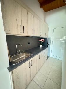 Kuchyňa alebo kuchynka v ubytovaní Alkyonis hotel
