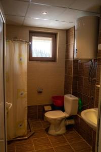 a bathroom with a toilet and a sink and a window at Апартамент ДЕНИ in Pamporovo