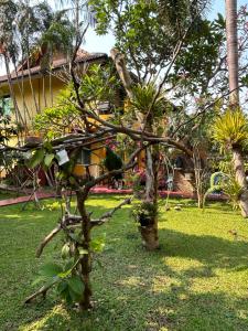 a bird sitting on a tree in a yard at Lamduan Boutique Homestay in Chiang Mai