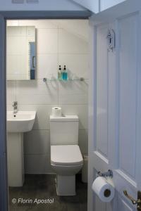 a bathroom with a toilet and a sink and a mirror at The Wight Mouse Inn in Chale