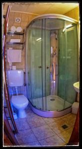 een badkamer met een douche en een toilet bij PENSIUNEA ETAP in Arad
