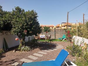 a garden with a blue bench and a tree at Wohnung in Playa De La Calera mit Privatem Parkplatz in Valle Gran Rey