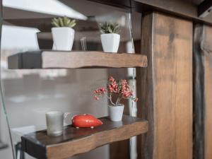 a shelf with potted plants and a tomato on it at Holiday home with whirlpool and sauna in Viechtach in Viechtach