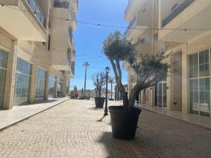una calle con dos árboles en el medio de un edificio en Hotel Nais Beach, en Durrës