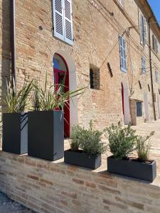 tres plantadores con plantas delante de un edificio de ladrillo en B&B San Nicola, en Porchia