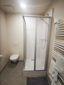 a bathroom with a shower and a toilet at Egerbach Appartements in Schwoich