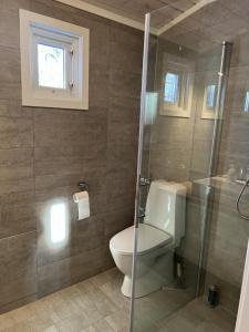 een badkamer met een toilet en een glazen douche bij Cozy cabin in the center of Geilo in Geilo