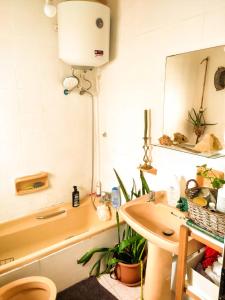 ein Badezimmer mit einem Waschbecken, einem WC und einem Spiegel in der Unterkunft Cute Townhouse in Maltese Village Close To St Peters Pool in Żejtun