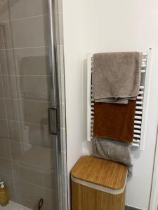 um toalheiro na casa de banho com chuveiro em Moderne Cosy Appartement em Clichy
