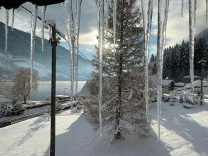 a group of icicles hanging from a tree in the snow at Haus Feldseeblick in Feld am See