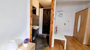 a bathroom with a sink and a shower and a mirror at Zur Schönen Lau- Monteurzimmer in Blaubeuren
