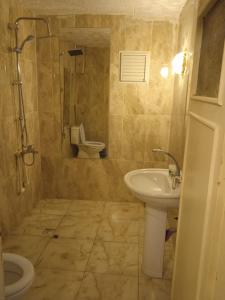 安卡拉的住宿－Kirpi 8，一间带水槽和卫生间的浴室