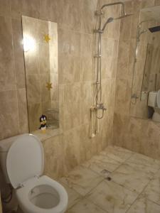 安卡拉的住宿－Kirpi 8，带淋浴、卫生间和淋浴的浴室