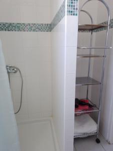 a bathroom with a shower with a shelf at Les Gites du Mont Ventoux in Bédoin