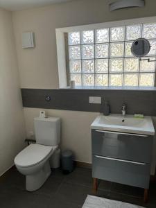 a bathroom with a toilet and a sink and a window at Gîte chez Marco in Peyrieu +18 photos