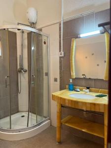 a bathroom with a sink and a shower and a mirror at The penthouse beachfront in Mombasa