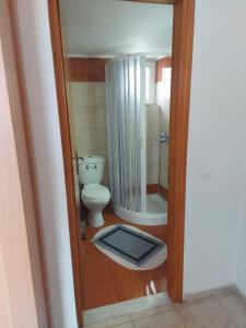 ein Bad mit einem WC und einer Dusche in der Unterkunft Georgios home in Iraklio