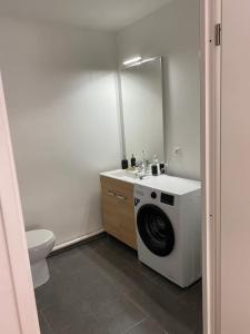 La salle de bains est pourvue d'un lave-linge et de toilettes. dans l'établissement Appartement JO, proche Paris, à Guyancourt