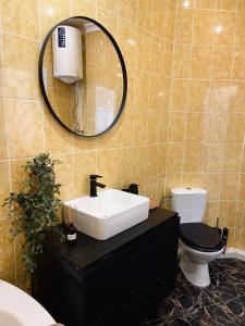 a bathroom with a sink and a toilet and a mirror at Kyiv Panna Apartment in Kyiv +7 photos