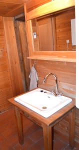 La salle de bains est pourvue d'un lavabo et d'un miroir. dans l'établissement Sandrellhaus, à Tschagguns