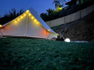Ogród w obiekcie Glamping Finca el Olivo