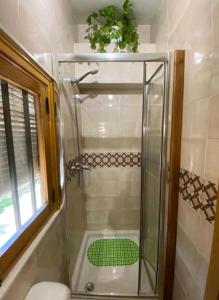 a shower with a glass door in a bathroom at Cabaña ecologica del lago in Paredes de Buitrago +67 photos
