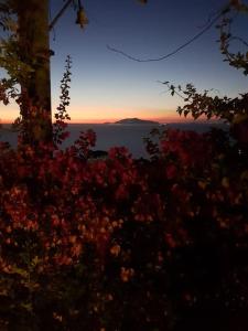 Billede fra billedgalleriet på Anacapri Sunset La Piccola Oasi i Anacapri