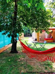 - un hamac rouge sous un arbre dans une cour dans l'établissement Refúgio nas Flores - confirme após o pedido de reserva, à Holambra