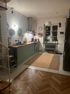 una cucina con lavandino e piano di lavoro di Stor etage St knut a Malmö