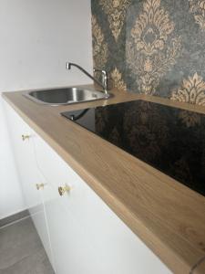 - une cuisine avec un évier et un mur dans l'établissement Deluxe Apartment, à Duisbourg