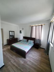 a bedroom with a large bed in a room at LEYO FURNISHED APARTMENTS in Addis Ababa