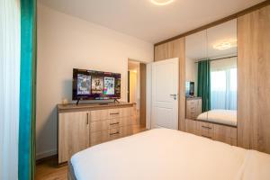 苏恰瓦Cazare Suceava - Parcare Gratuită, Self Check-in的一间卧室配有一张床、一台电视和一面镜子