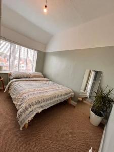 a bedroom with a bed and a potted plant at Two bedroom terrace house with parking in Hull