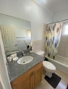 a bathroom with a sink and a toilet and a mirror at ST Michael’s terrace in Kingston
