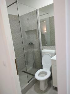 a bathroom with a toilet and a glass shower at Bedaleyl in Piteşti